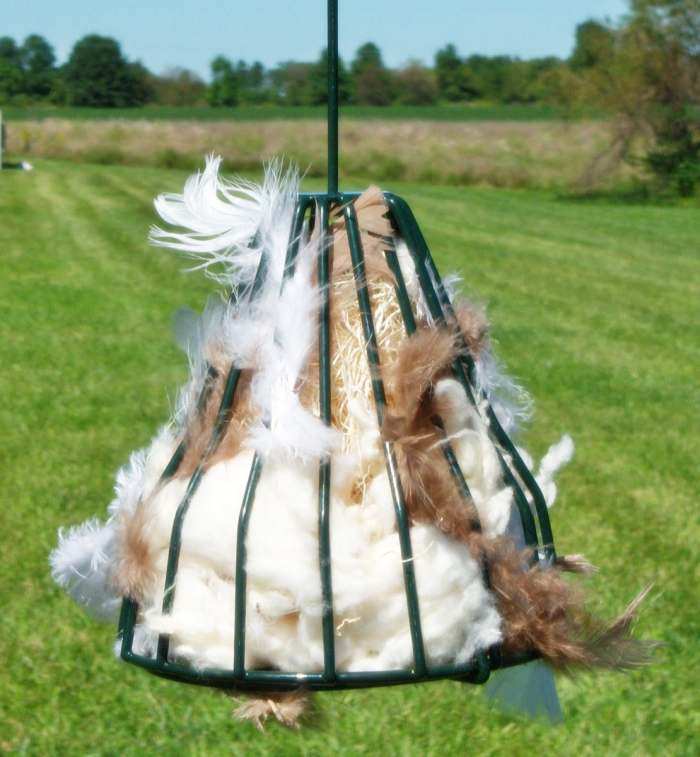 Songbird Birdie Bell w/Nesting Material